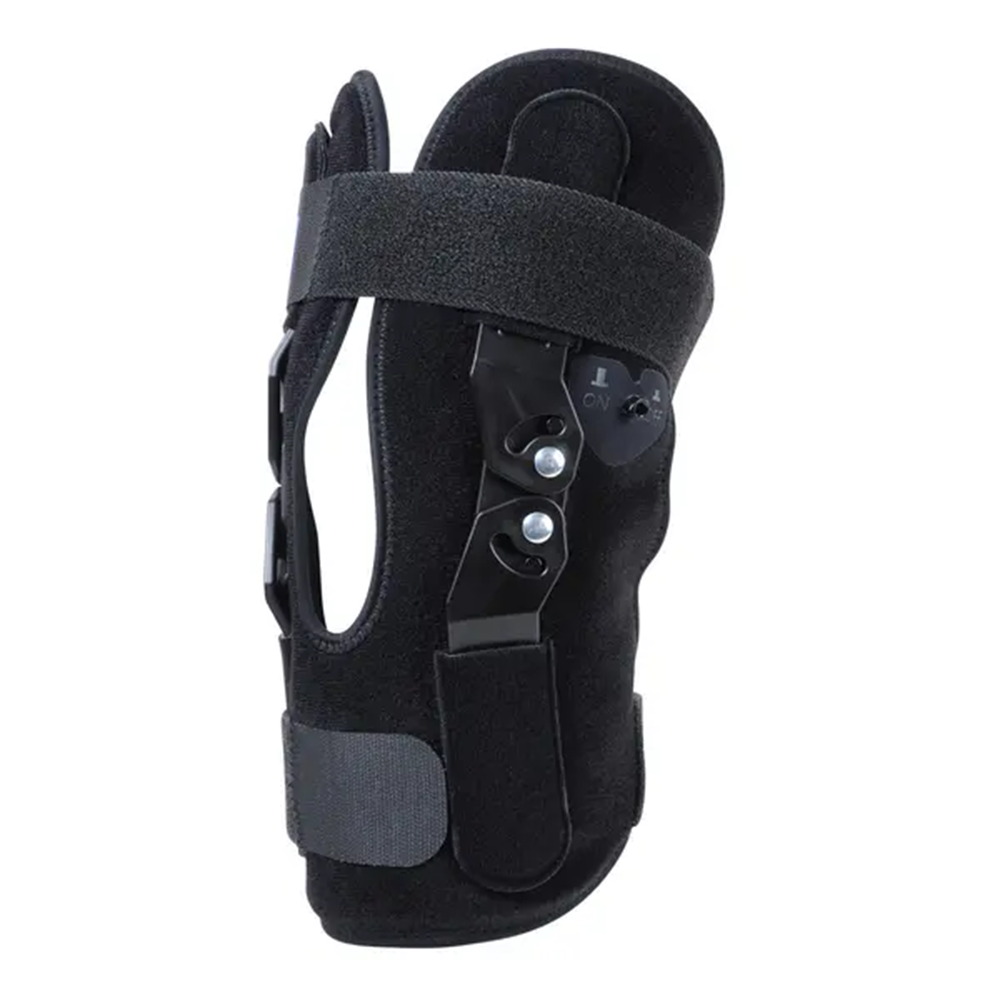 genustarticedsc0916-